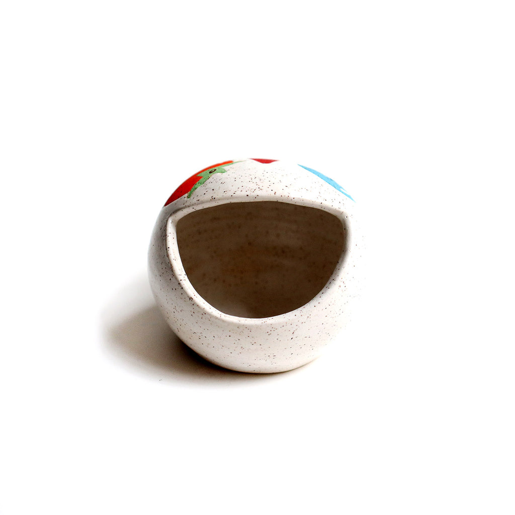 Fruits Salt Set