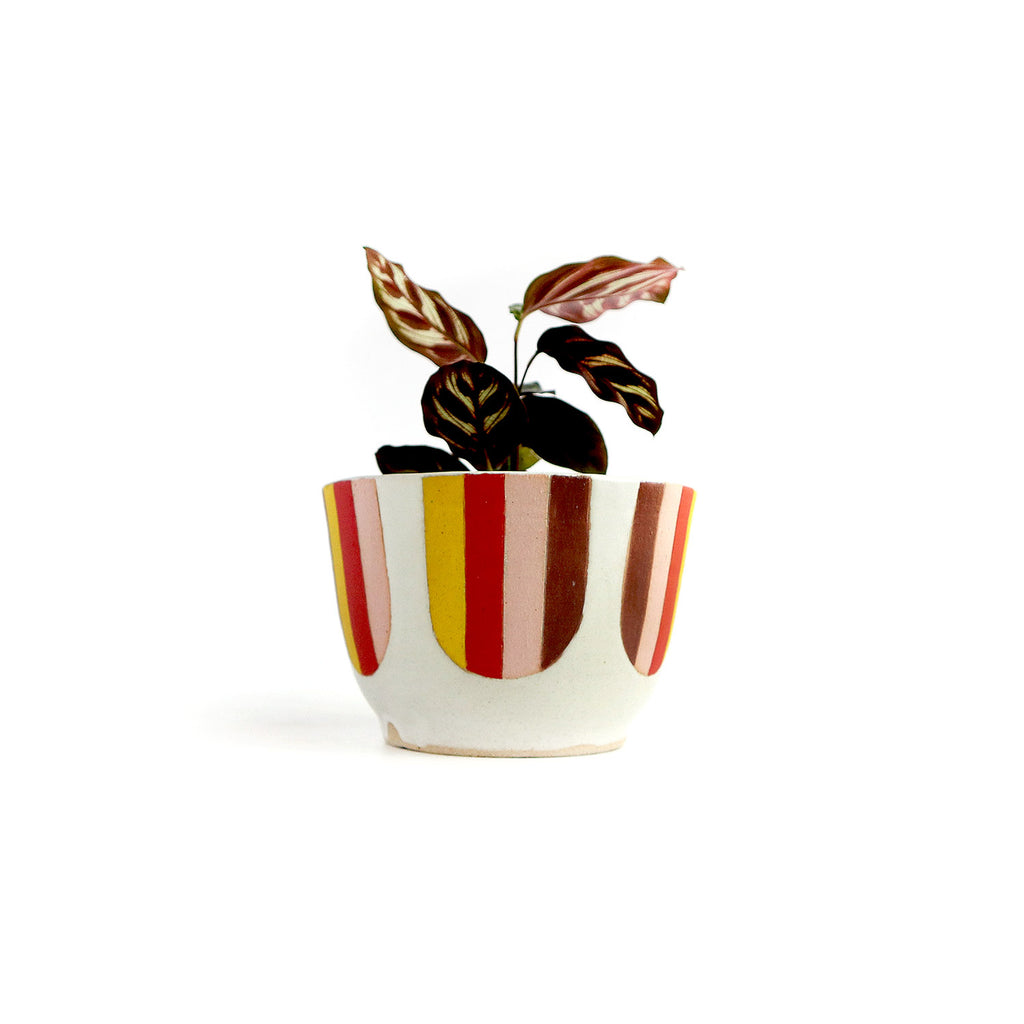 Striped Planter