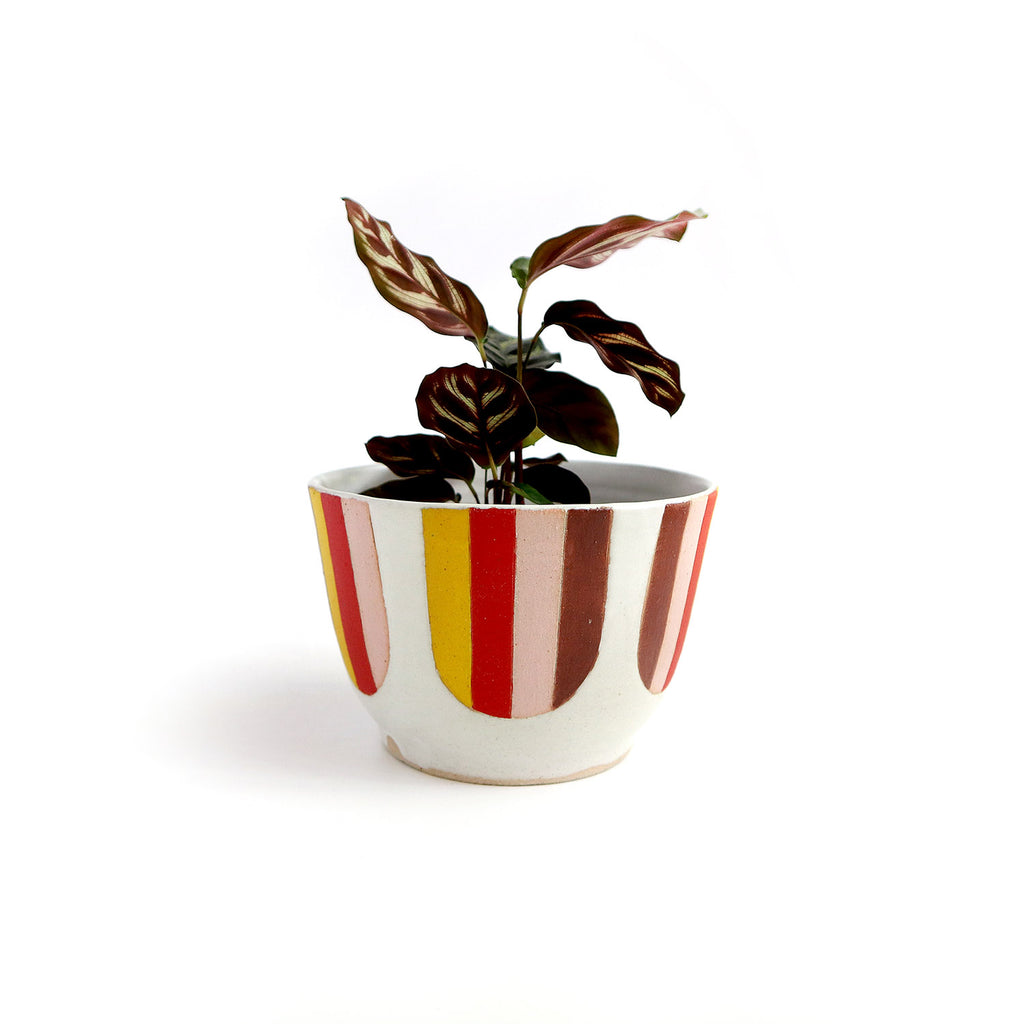Striped Planter