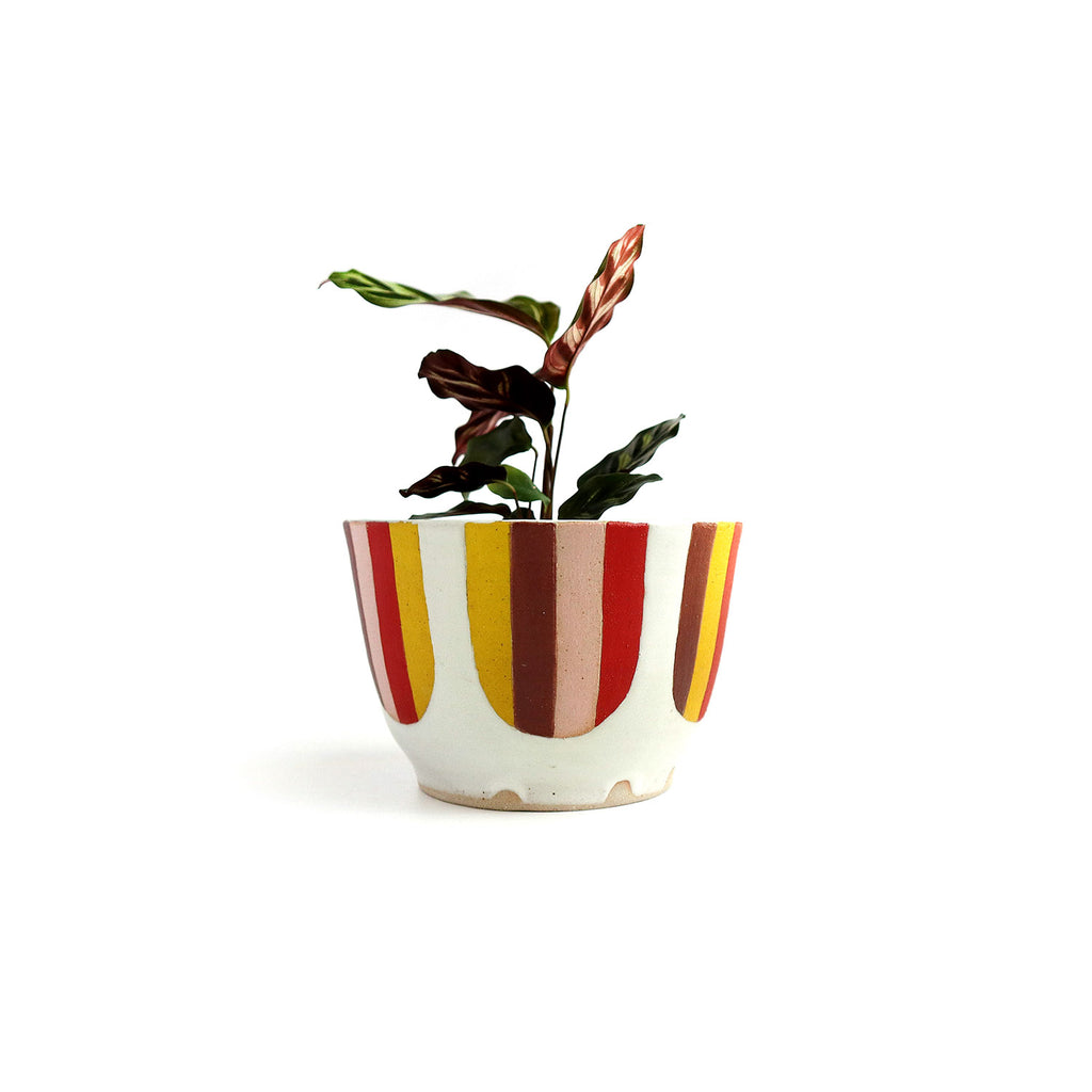 Striped Planter
