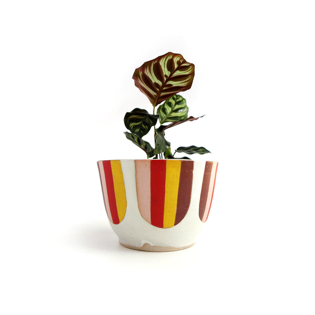 Striped Planter